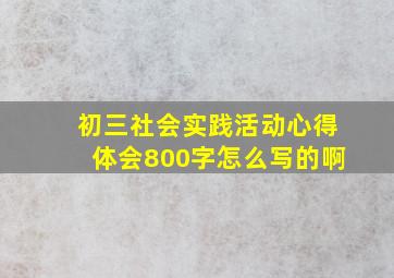 初三社会实践活动心得体会800字怎么写的啊