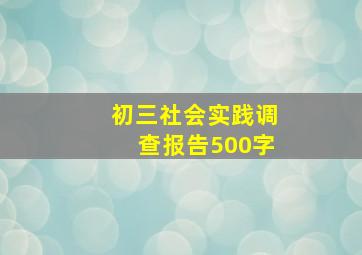 初三社会实践调查报告500字