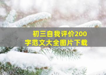 初三自我评价200字范文大全图片下载