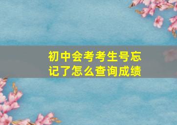 初中会考考生号忘记了怎么查询成绩