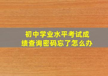 初中学业水平考试成绩查询密码忘了怎么办