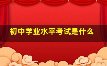 初中学业水平考试是什么