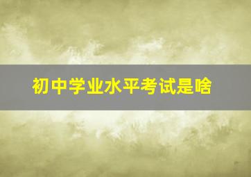 初中学业水平考试是啥