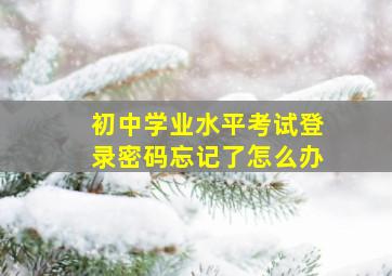 初中学业水平考试登录密码忘记了怎么办