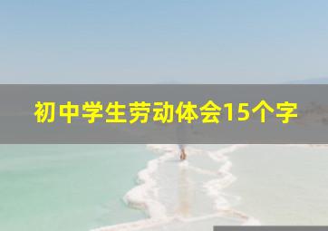 初中学生劳动体会15个字