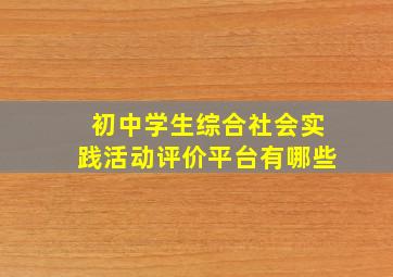 初中学生综合社会实践活动评价平台有哪些