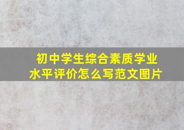 初中学生综合素质学业水平评价怎么写范文图片