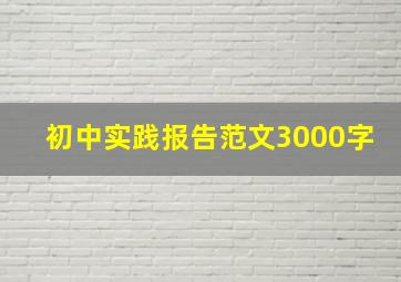 初中实践报告范文3000字