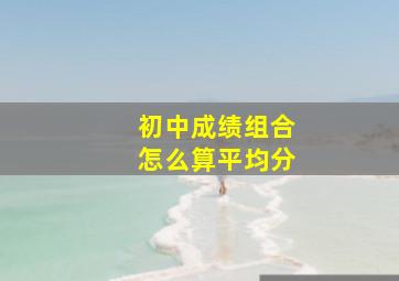 初中成绩组合怎么算平均分