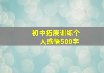 初中拓展训练个人感悟500字