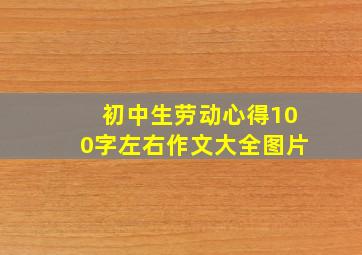 初中生劳动心得100字左右作文大全图片