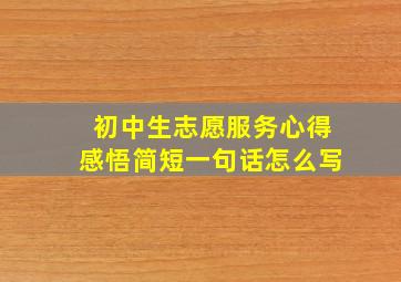 初中生志愿服务心得感悟简短一句话怎么写