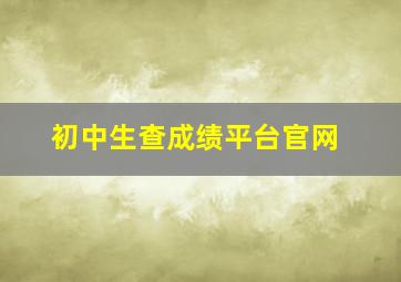 初中生查成绩平台官网