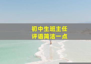 初中生班主任评语简洁一点