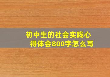 初中生的社会实践心得体会800字怎么写