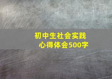 初中生社会实践心得体会500字