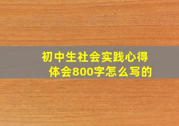 初中生社会实践心得体会800字怎么写的