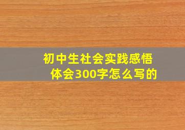 初中生社会实践感悟体会300字怎么写的