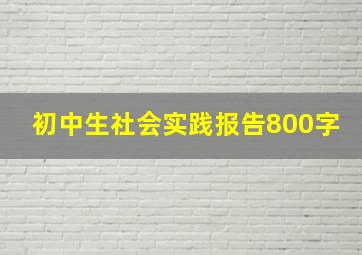 初中生社会实践报告800字