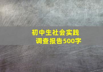 初中生社会实践调查报告500字