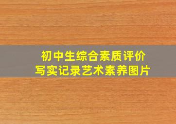 初中生综合素质评价写实记录艺术素养图片