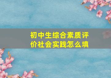 初中生综合素质评价社会实践怎么填