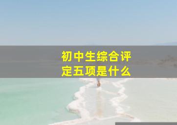 初中生综合评定五项是什么