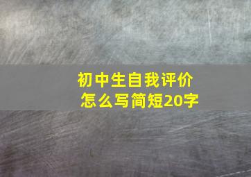 初中生自我评价怎么写简短20字