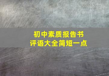 初中素质报告书评语大全简短一点