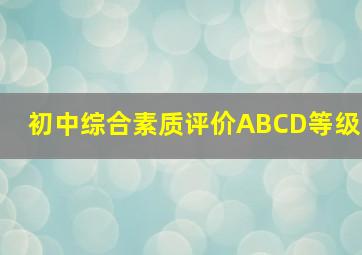 初中综合素质评价ABCD等级