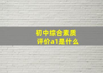 初中综合素质评价a1是什么