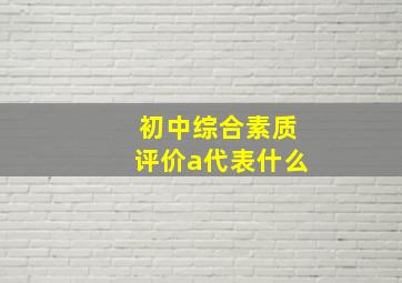 初中综合素质评价a代表什么