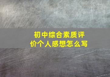 初中综合素质评价个人感想怎么写