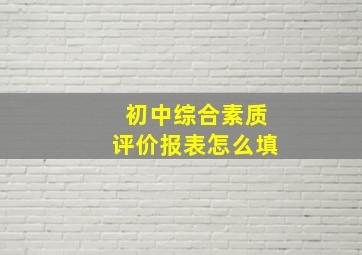 初中综合素质评价报表怎么填