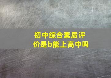 初中综合素质评价是b能上高中吗