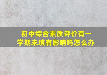 初中综合素质评价有一学期未填有影响吗怎么办