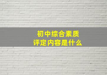 初中综合素质评定内容是什么