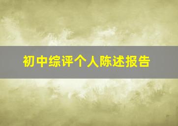 初中综评个人陈述报告