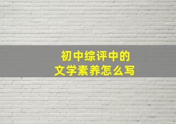 初中综评中的文学素养怎么写