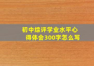 初中综评学业水平心得体会300字怎么写