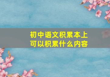 初中语文积累本上可以积累什么内容