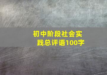 初中阶段社会实践总评语100字