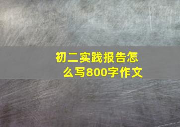 初二实践报告怎么写800字作文