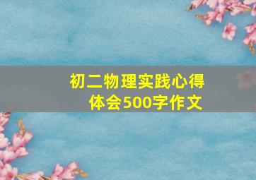 初二物理实践心得体会500字作文