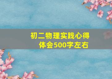 初二物理实践心得体会500字左右