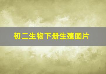 初二生物下册生殖图片