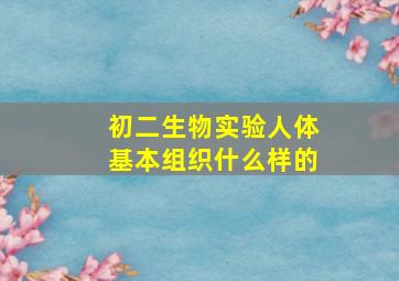 初二生物实验人体基本组织什么样的