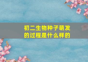 初二生物种子萌发的过程是什么样的