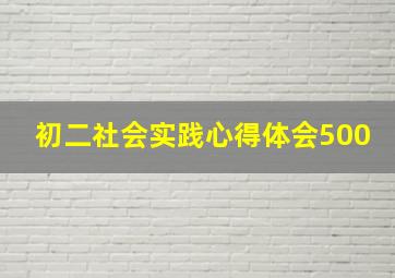 初二社会实践心得体会500