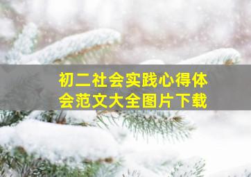 初二社会实践心得体会范文大全图片下载